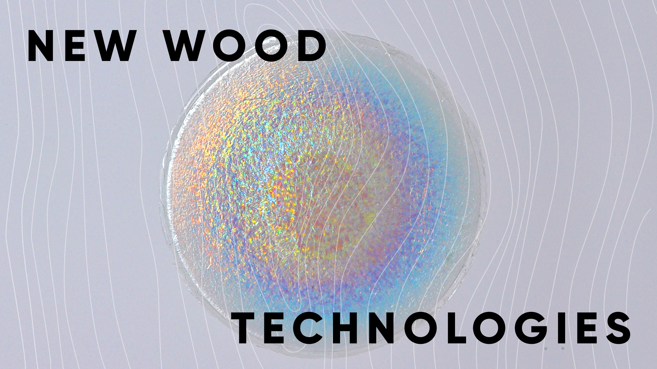 New wood technologies 
