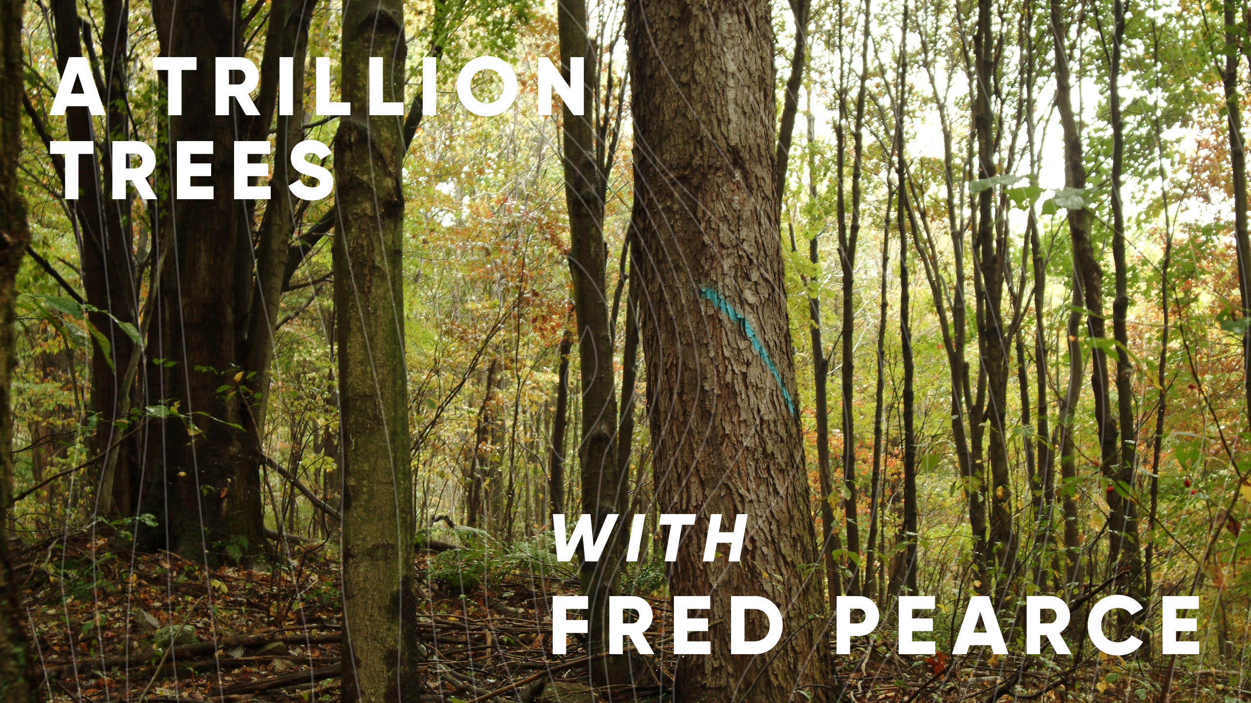 A Trillion Trees with Fred Pearce
