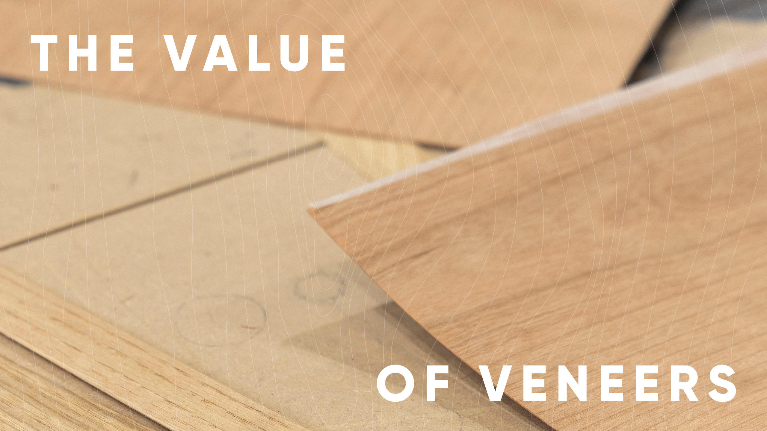 Words on Wood | The Value of Veneers with Cathy Danzer, Rio Kobayashi 