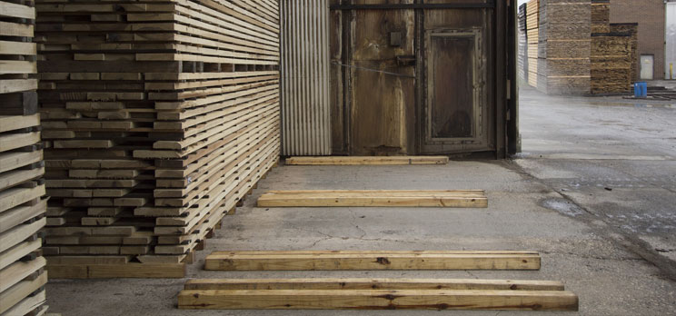 EU’s Illegal Timber law demands a risk based approach | American ...