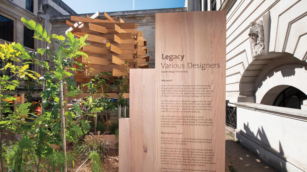 The Nest at Museum Lane