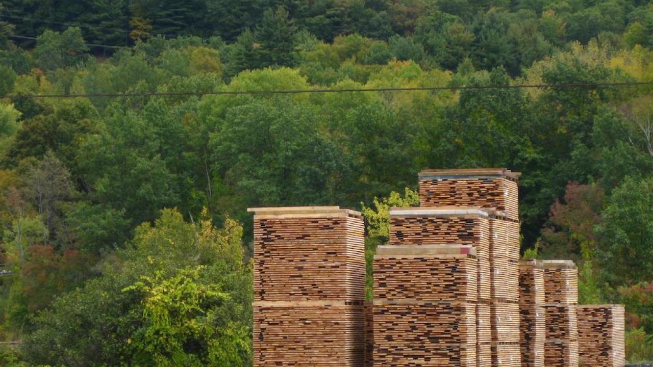 American hardwood lumber