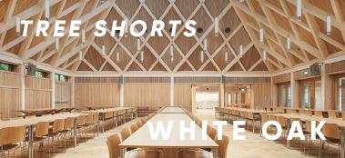Words on Wood | Tree shorts: white oak