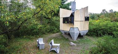 Ashen cabin landscape