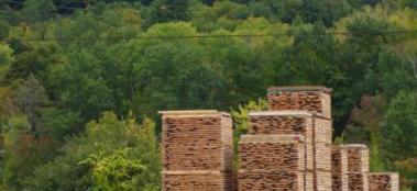 American hardwood lumber