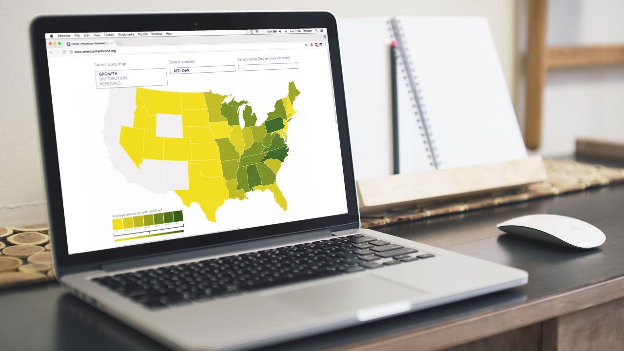 Interactive Forest Map