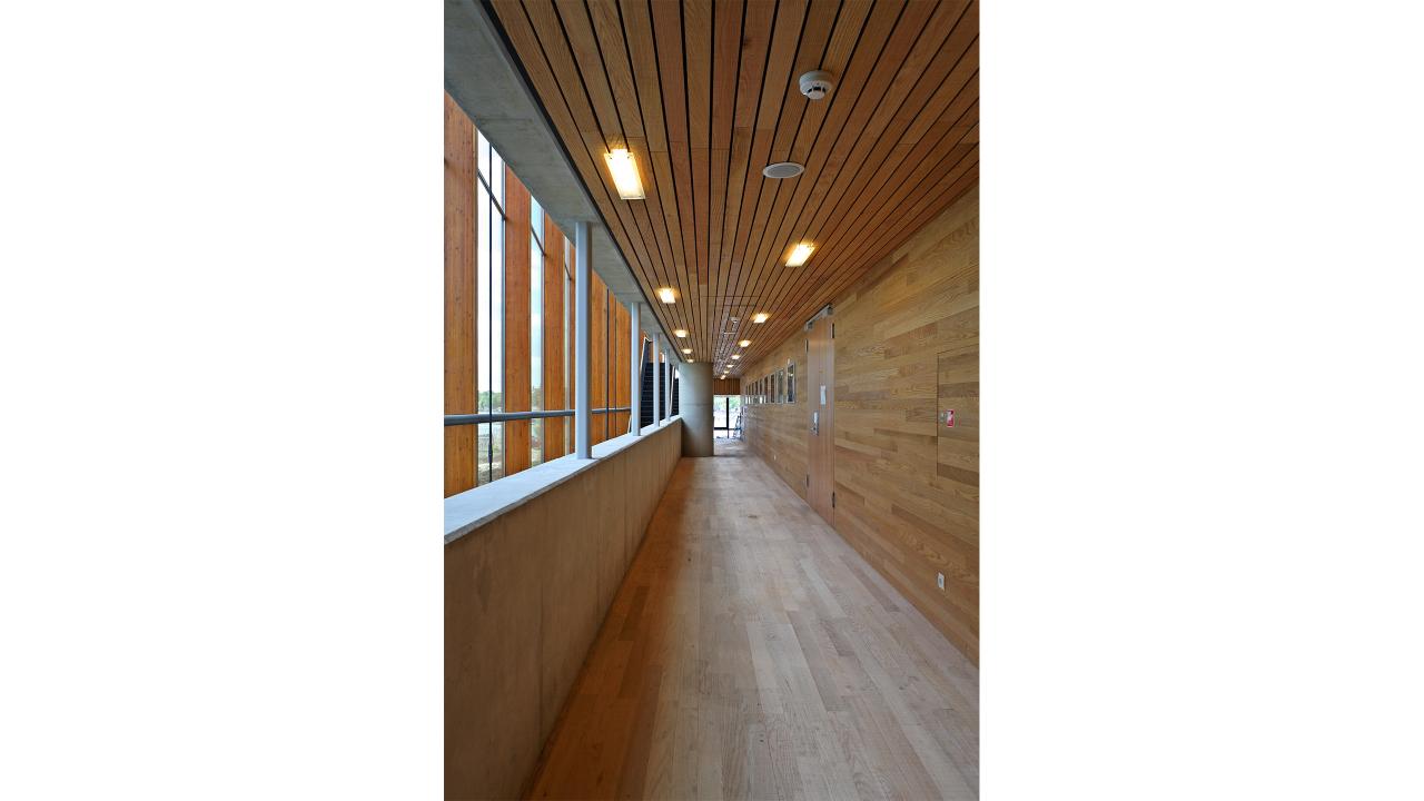 School of Music floor, wall and ceiling cladding