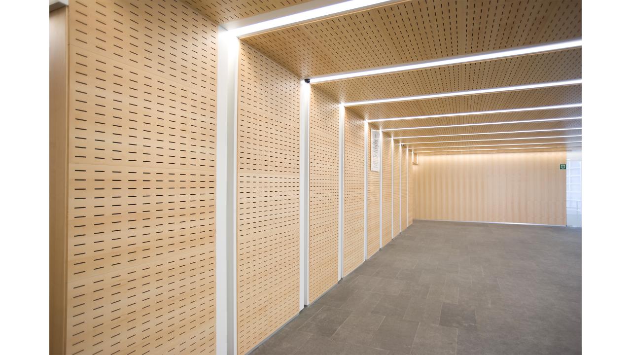 General Assemblies ceiling and wall