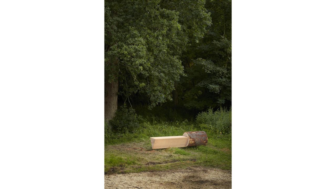 Out of the Woods – Tree Furniture