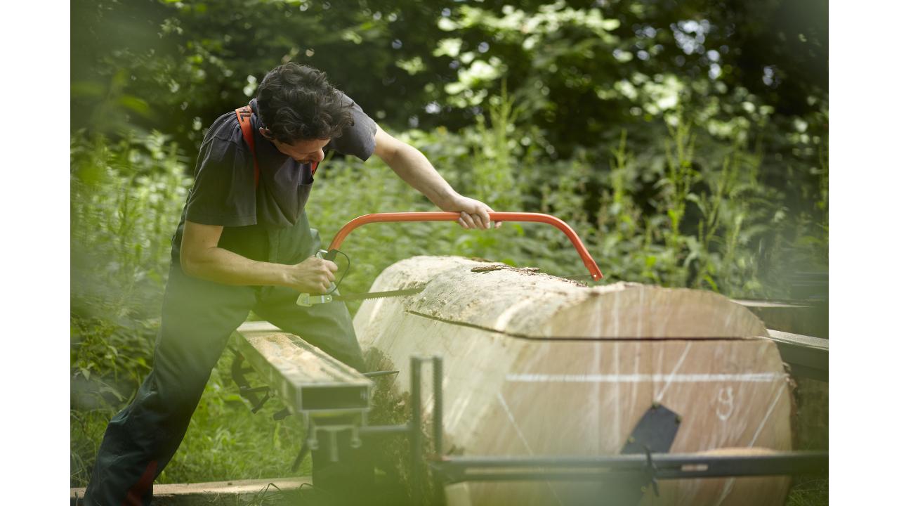 Out of the Woods – Tree Furniture