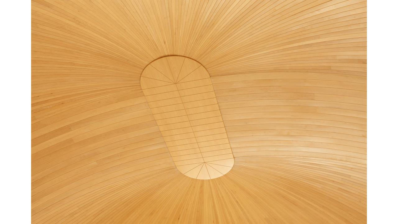 Temple domed ceiling panels