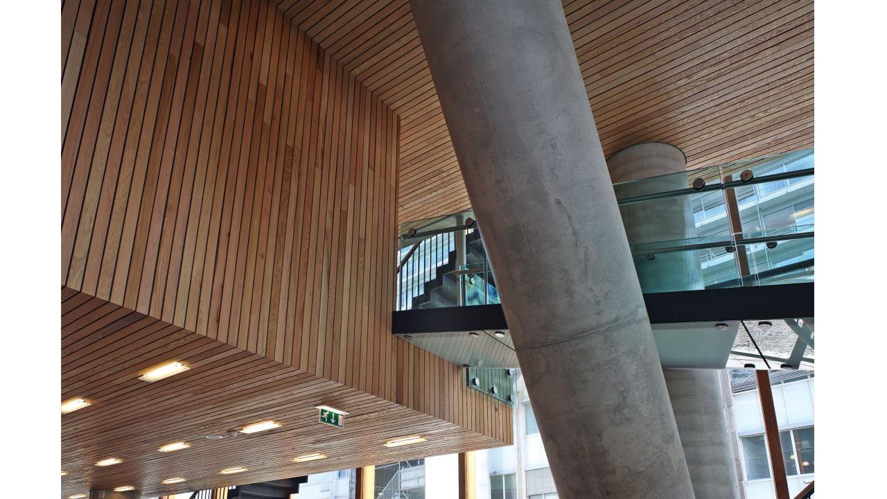 Amsterdam School of Music by Fritz van Dongen 