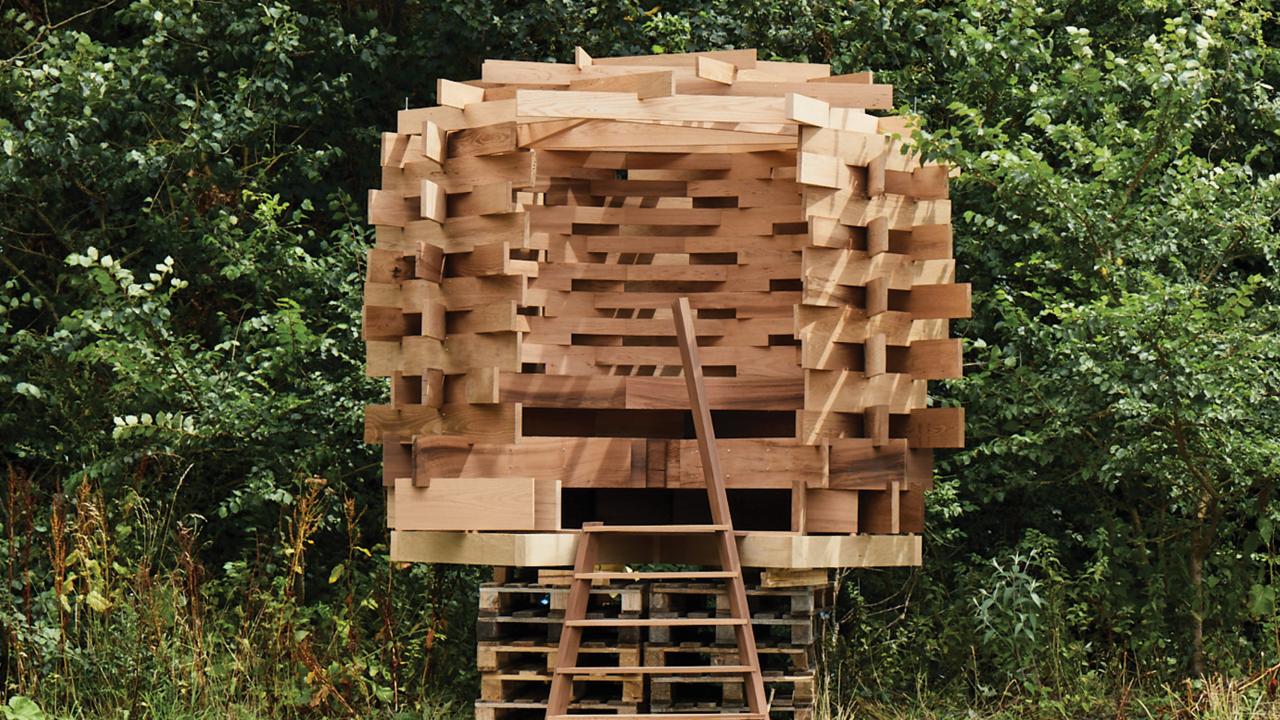 The Nest_carousel_image2.jpg