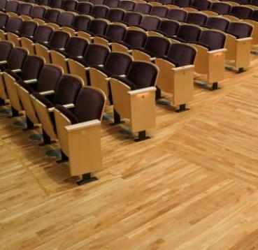 Flooring and theatre seating
