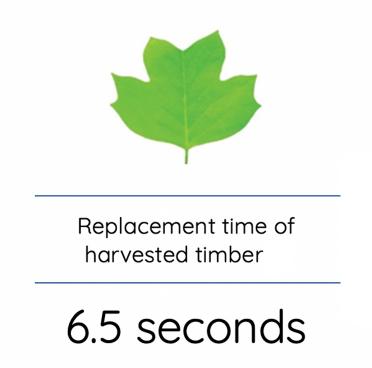 Environmental_profile_graphic