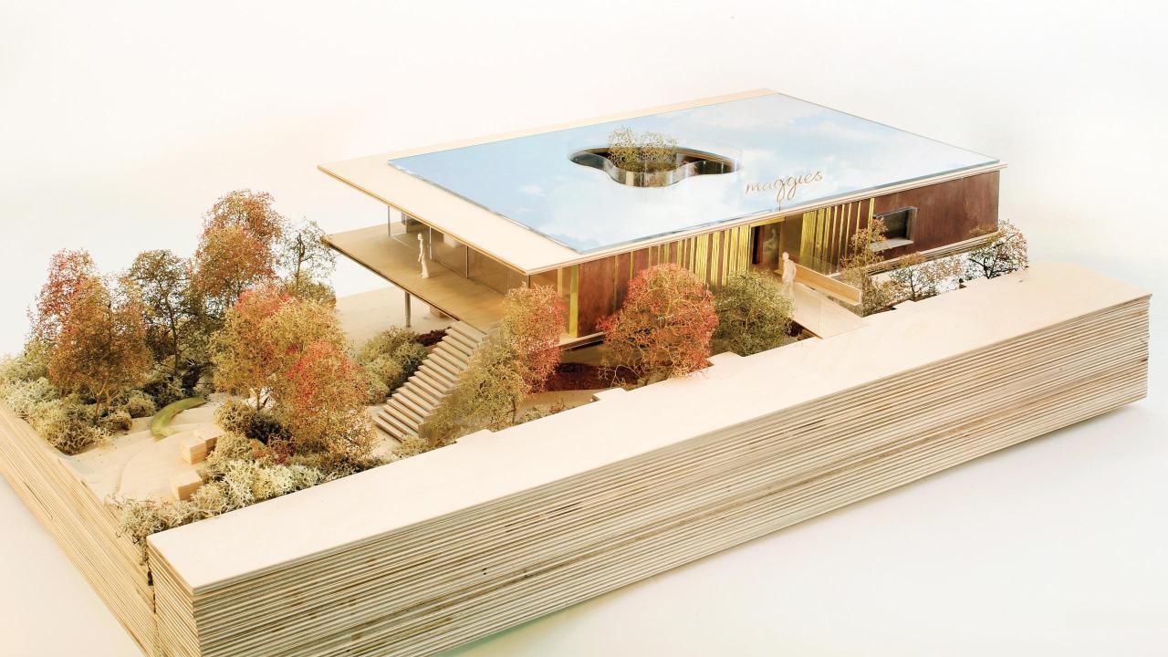 Maggies_building_dRMM_CLT tulipwood