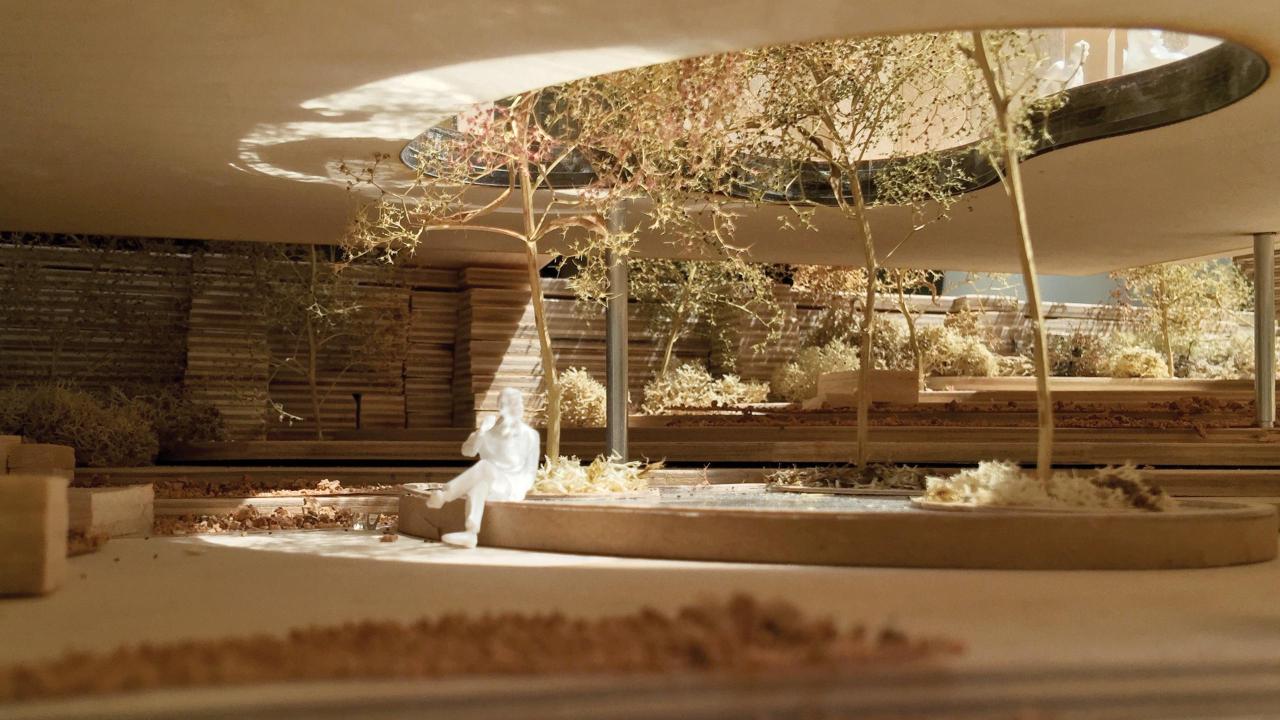 Maggies_building_dRMM_CLT tulipwood