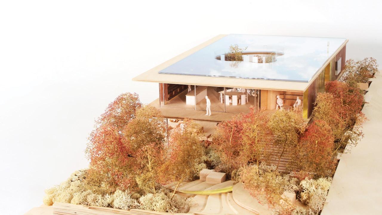 Maggies_building_dRMM_CLT tulipwood