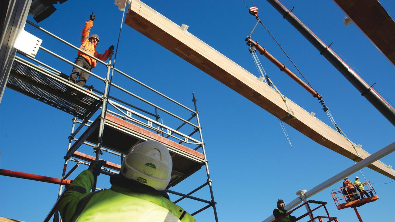 Lords warner stand_american white oak_AHEC populous ARUP