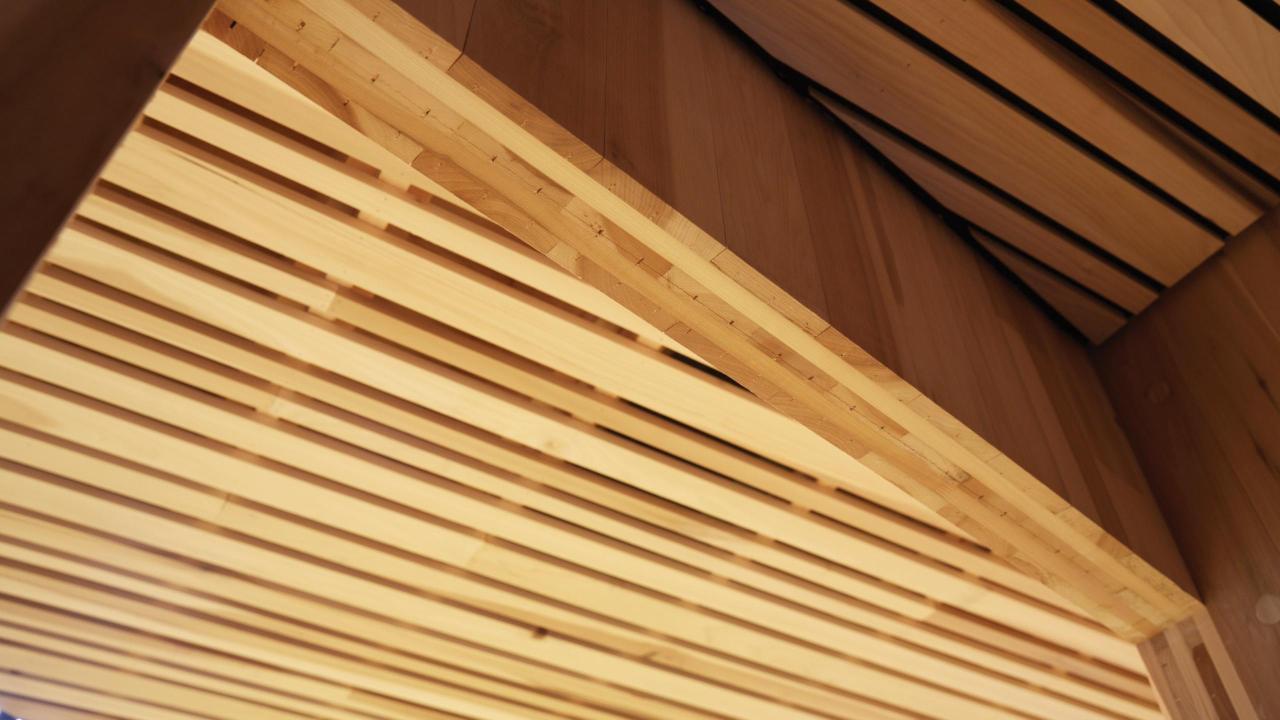 maggies_clt tulipwood_drmm architects