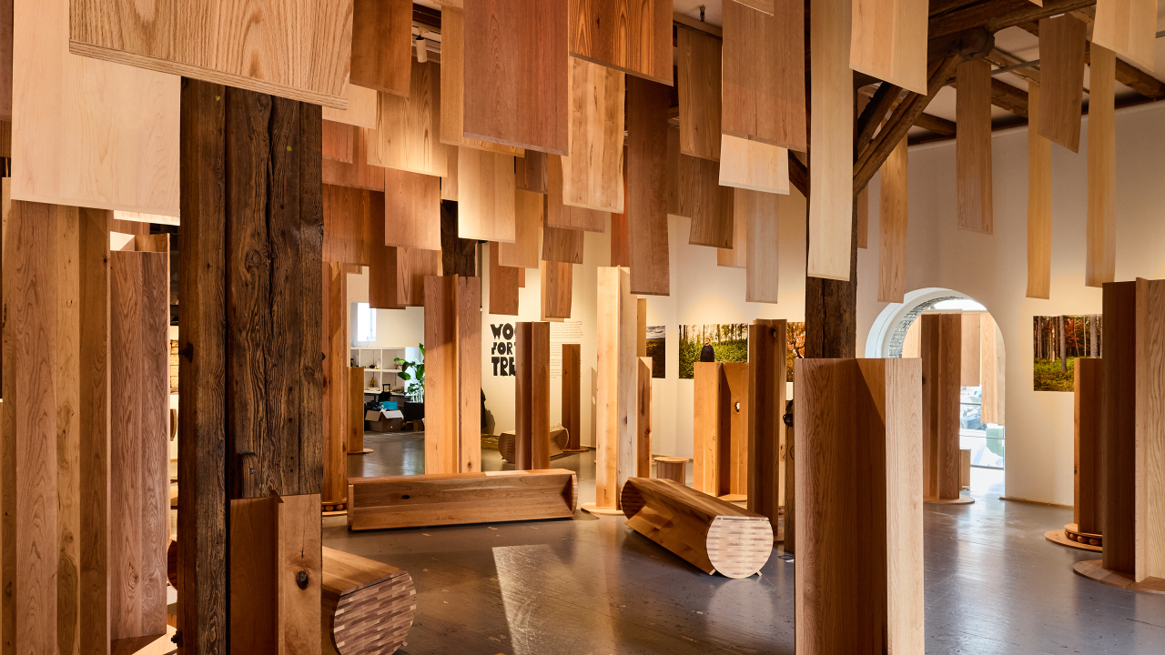 Wood for the Trees_Outcome