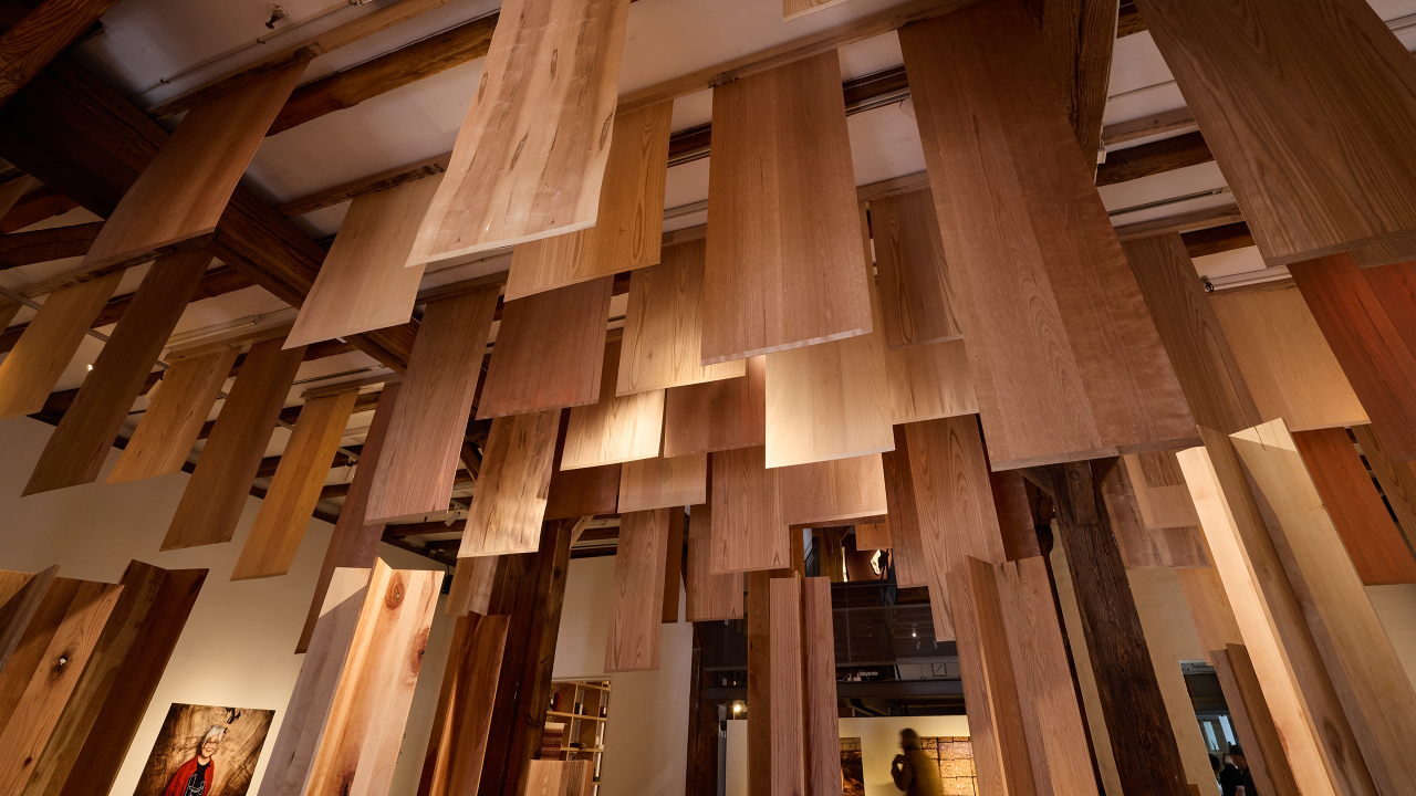 Wood for the Trees_Outcome