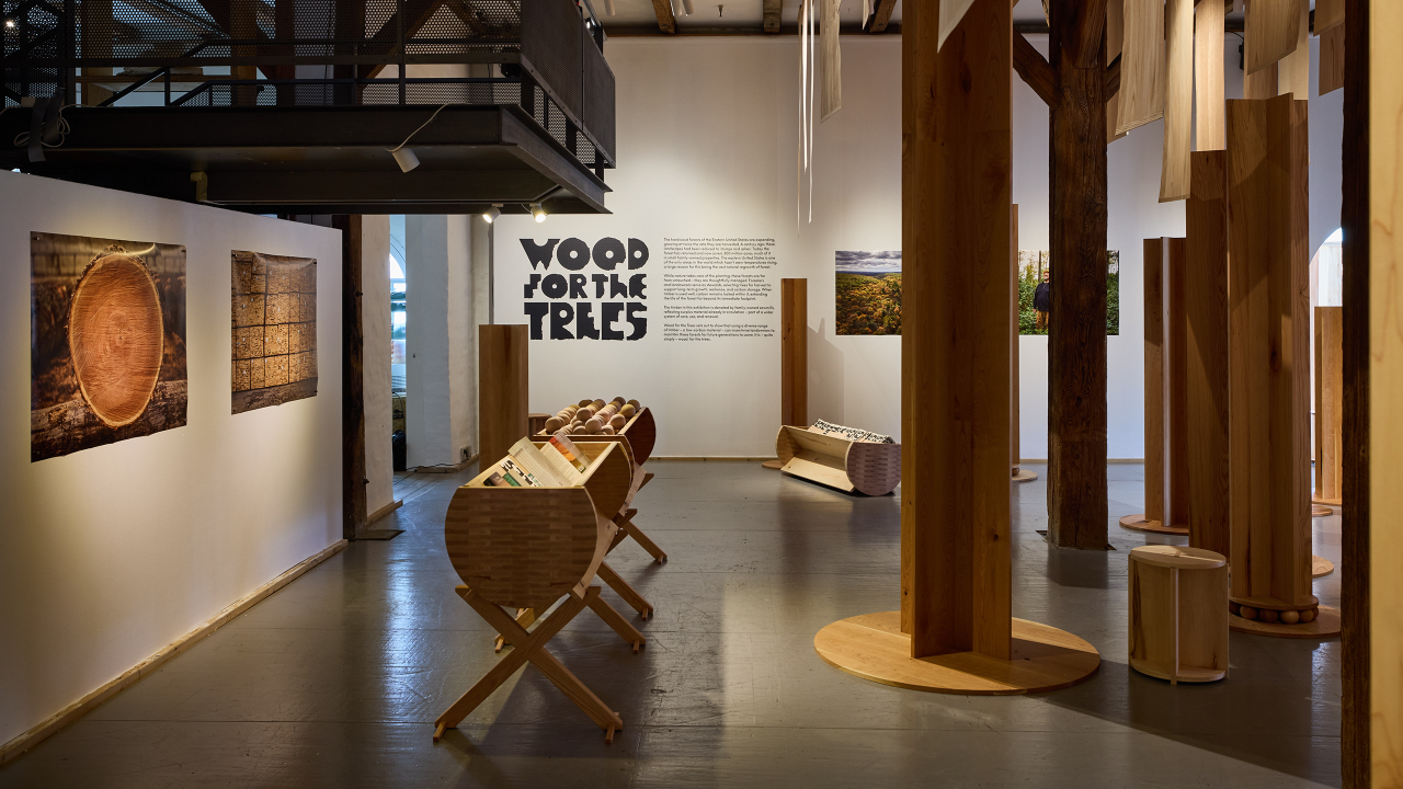 Wood for the Trees_Outcome