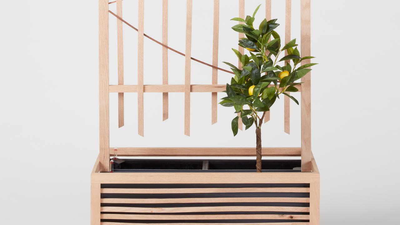 Rycotewood Karina Paberza