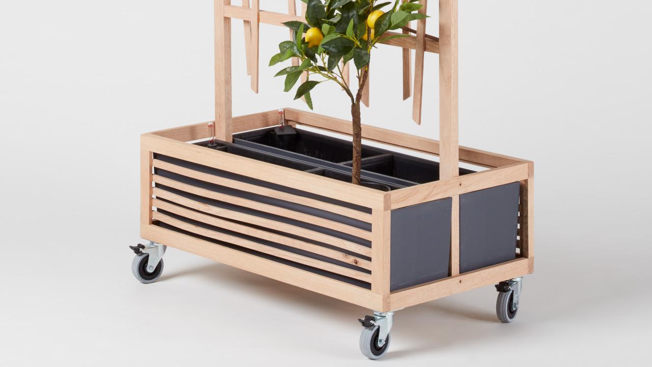 Rycotewood Karina Paberza