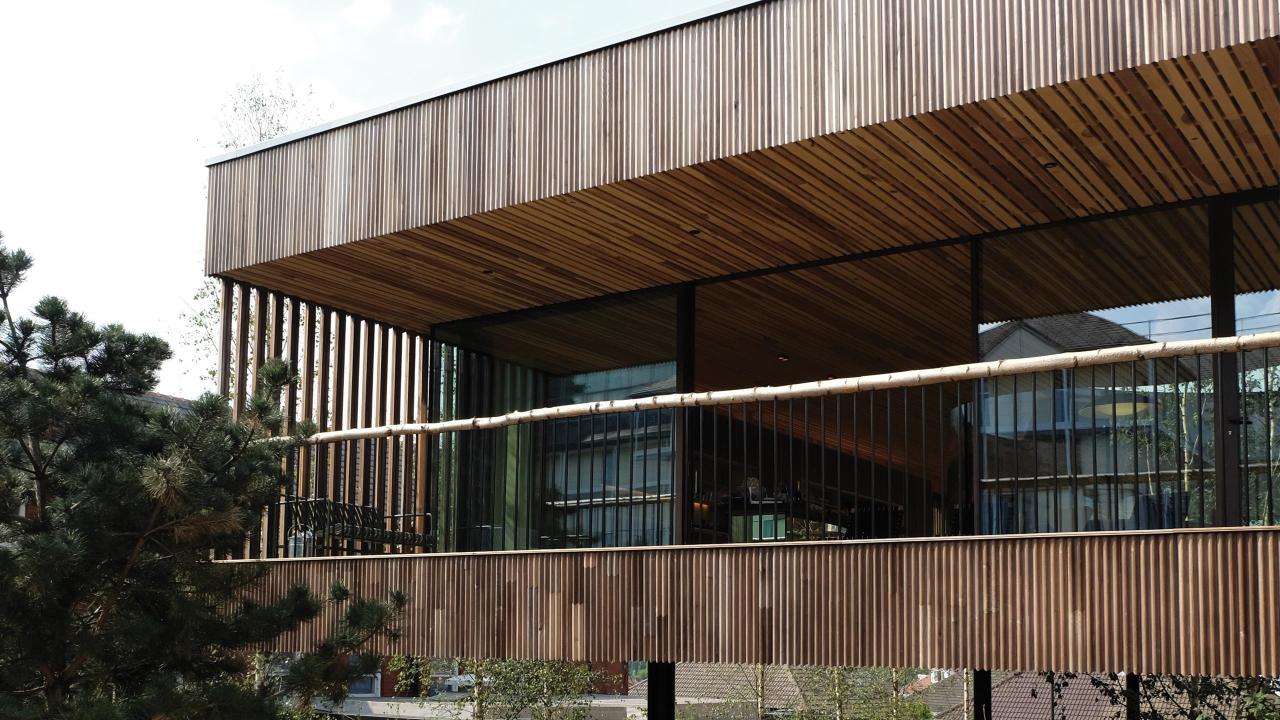 Maggies_building_dRMM_CLT tulipwood