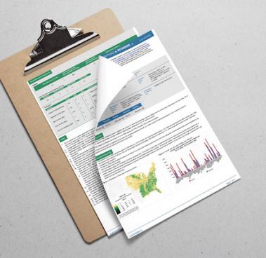 American-Hardwood-Environmental-Profile_square