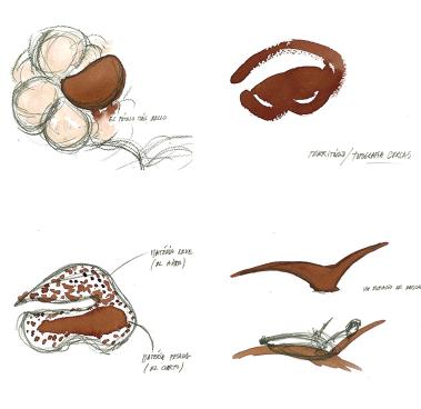 vision square thumbnail