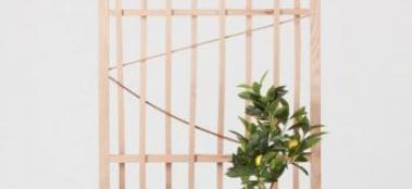 Rycotewood Karina Paberza