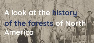 a look at the history of the forest