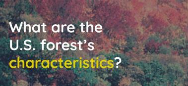 What are the U.S. hardwood forest's characteristics?  