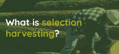 What is selection harvesting? 