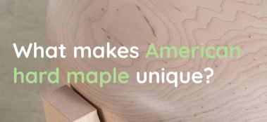 what makes American maple unique
